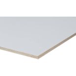 Betonplex Berken PPL Wit 305x153 18mm