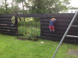 Complete zwart houten schutting 1,8x12m
