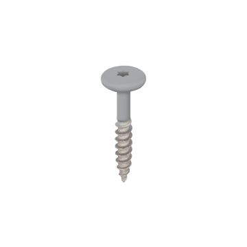Torx schroef 32mm rvs V2A 100st - Grijs