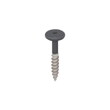 Torx schroef 32mm rvs V2A 100st - Antraciet
