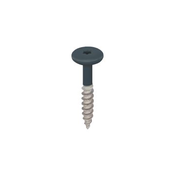 Torx schroef 32mm rvs V2A 100st - Monumentenblauw