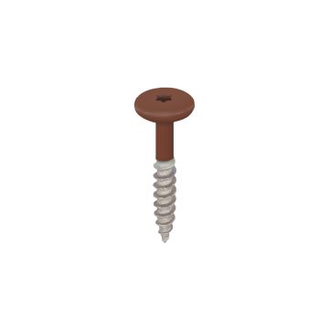 Torx schroef 32mm rvs V2A 100st - Golden oak