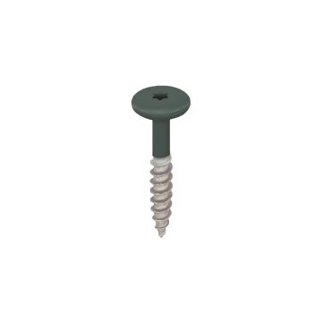 Torx schroef 32mm rvs V2A 100st - Donkergroen