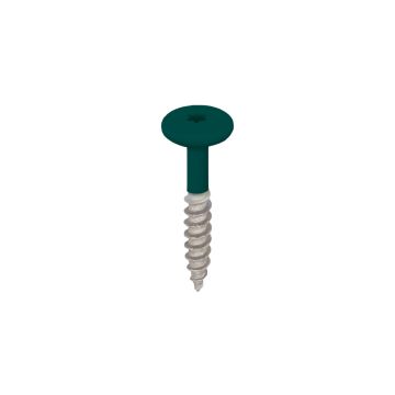 Torx schroef 32mm rvs V2A 100st - Mosgroen