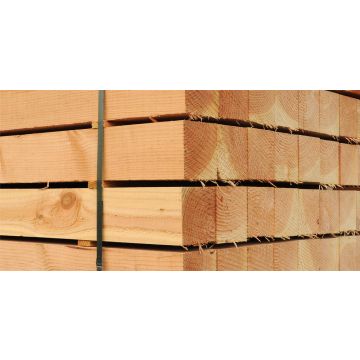 Lariks paal 12x12x3000 onbehandeld