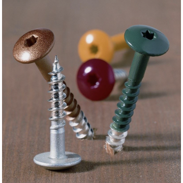 Ivana HPL/Trespa schroeven RVS 4.8x38 torx 20 100st.