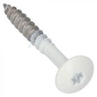 Fisinox Kleurkopschroef 4,8x38 mm RAL 9001